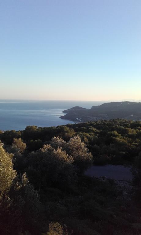 Barbara II Hotel Agia Marina  Eksteriør billede